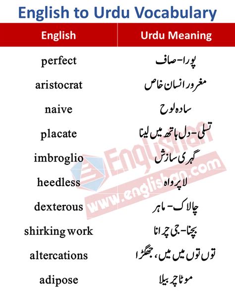 also meaning in urdu|English to urdu meaning of Also .